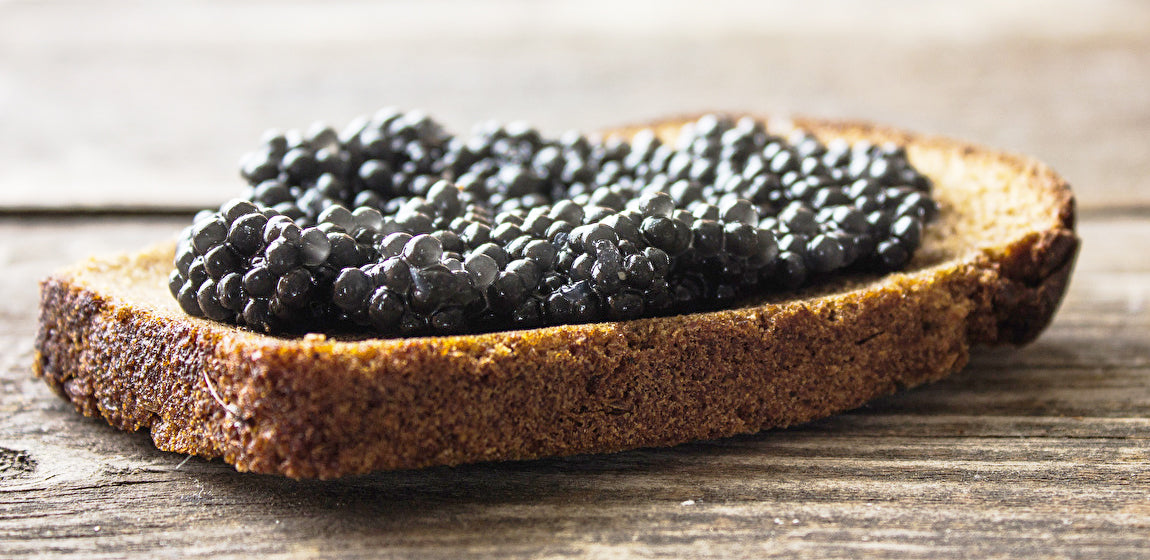 siberian sturgeon caviar