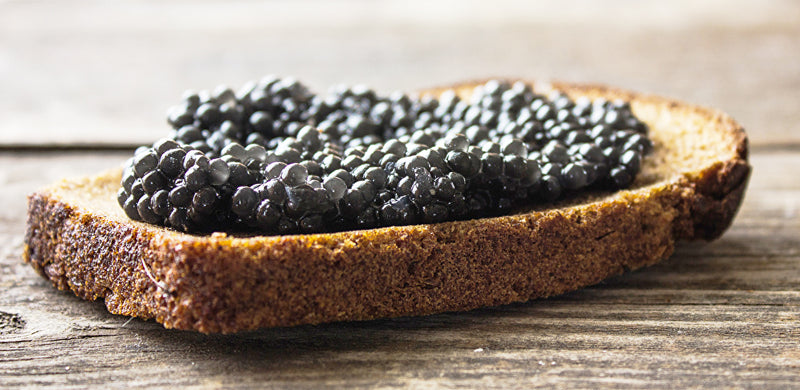 siberian sturgeon caviar