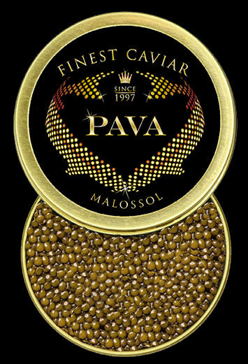 kaluga hyrid caviar