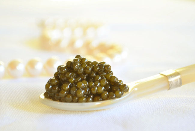 kaluga hyrid caviar