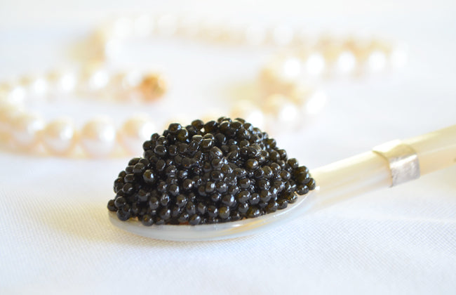 american hackleback sturgeon caviar