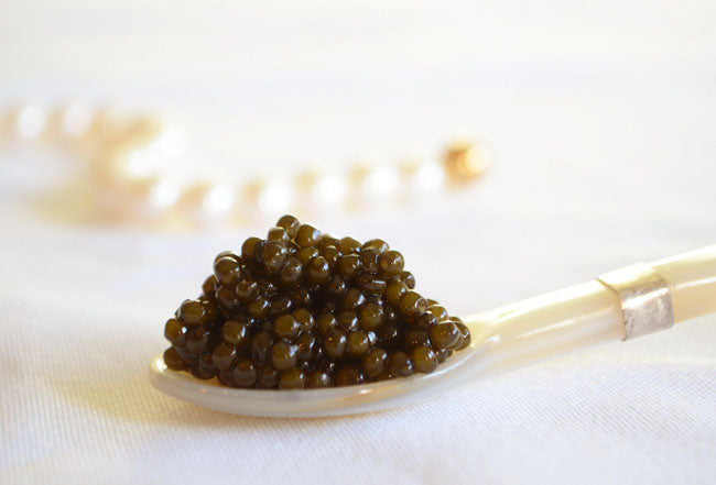 Kaluga Hybrid Caviar