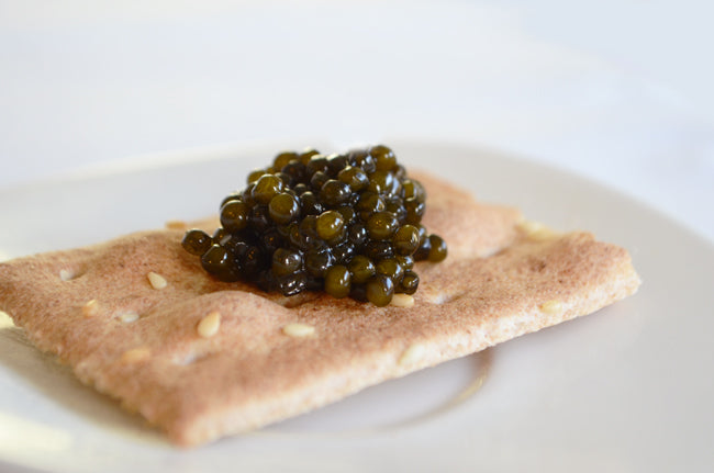 Kaluga Hybrid Caviar