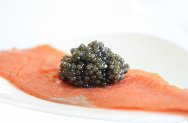 paddlefish caviar